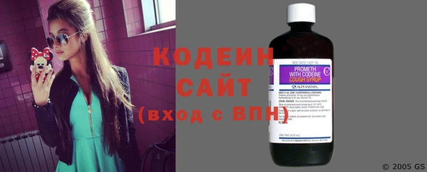 шишки Абаза