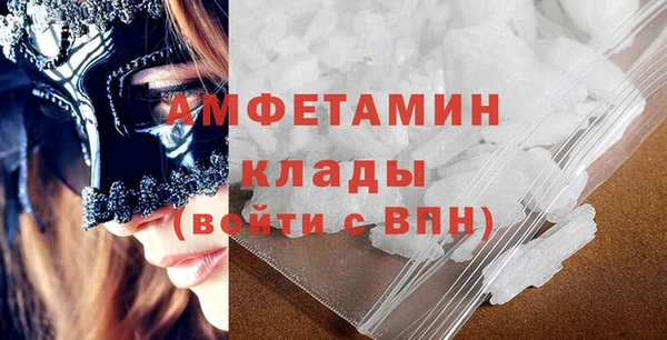 шишки Абаза