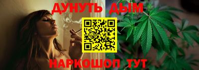 ECSTASY Гатчина