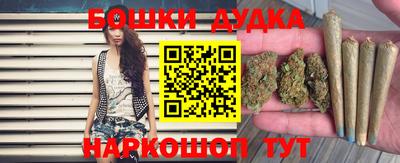 ECSTASY Гатчина