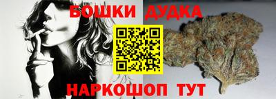 крисы Гагарин