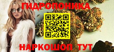 spice Гай