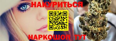 spice Гай