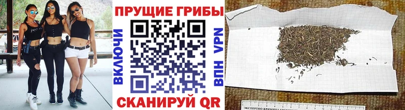 omg ссылка Назрань Галлюциногенные грибы мицелий