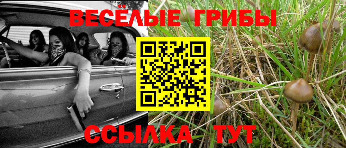 Псилоцибиновые грибы мицелий Назрань