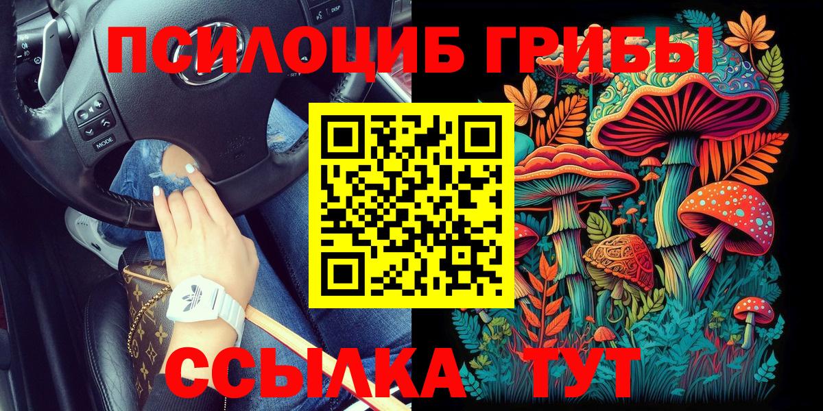 Назрань  как найти закладки  Вход с VPN  Псилоцибиновые грибы Psilocybine cubensis 