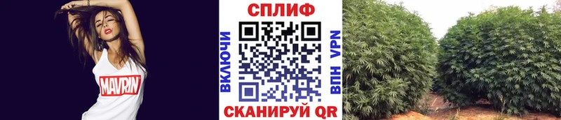 что такое наркотик  Назрань  mega ссылки  Шишки марихуана ГИДРОПОН 